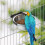 Ensemble mangeoire à oiseaux et 3 verres suspendus 2