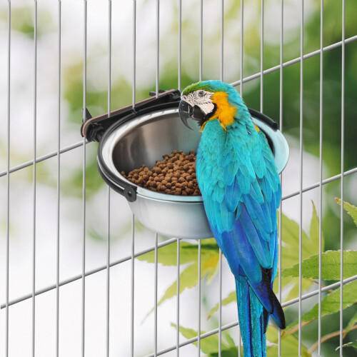 Ensemble mangeoire à oiseaux et 3 verres suspendus 1