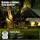 Halloween Eyeball String Lights 30 LED 8 Modes Green 5