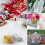 YZhouD100PCS4x6 Μαύρες τσάντες οργάντζα, μικρές τσάντες με κορδόνι, συσκευασία δώρου για 6