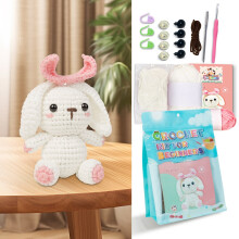 Crochet Kit for Beginners with Video Tutorial