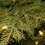 Pre-Lit Tabletop Christmas Tree LED 2ft Burlap Base 6