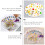 Eease Art Resin Mold Oval Silicone 1PC 3