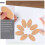 Felii de lemn ovale nefinisate DIY Decor 100 buc 4