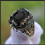Men's Emerald Inlay Ring Retro Luxury Style 4