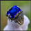 Men's Emerald Inlay Ring Retro Luxury Style 5