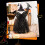 Halloween witch tree topper black with broom 1 piece 5