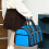 Pet Travel Backpack Breathable Mesh Large Capacity 6