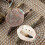 Abalone schelp ornamentenset, natuurlijk, multifunctioneel, 3 stuks 4