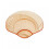 Transparante plastic multifunctionele borden, snacktray van 15 cm 1