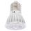 Ampoule LED projecteur E27culot 5W 36V 1