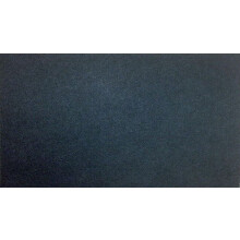 Carbon Filter for IAP-10-280 IAF-H-100D 302656