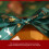 Christmas candy fruit gift box 12-piece 8