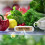 Air Purifier for Home Fridge Reusable USB Rechargeable 1
