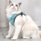 Feiona Cat Safety Belt Leash Set Adjustable Reflective Vest 1