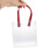 Plastic Gift Bag Transparent with Handles 10 Pcs 3