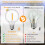 25PCS Low Voltage G40 DC12V Led Light Bulbs 1W E12 Plastic Replace Bulb for Off-Grid Solar String Light Camping RV 4