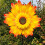 Sonnenblumen-Windmühle, Solar-Spinner, Gartendekoration, 1 Stück 5
