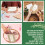 Rose Blank Gift Certificates with Envelopes 40 pcs 6.63 x 4