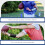 Wristband Sports Armband Polyester 2 Pcs 5