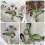 Broche de lapela em esmalte com flor violeta e cristal (1 peça) 2