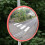 Traffic Mirror Reflective Round Concave Plastic 5