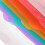Currency Holder for Bills Plastic Accordion Folder 2 Pcs 6