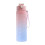 Gourde de sport Mosiee 900 ml étanche 1