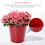 Plåthink med leksakshandtag, liten blomhink, 2 st 4