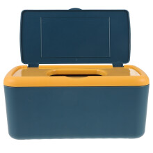 Boîte de rangement pour mouchoirs humides et masques anti-poussière avec couvercle