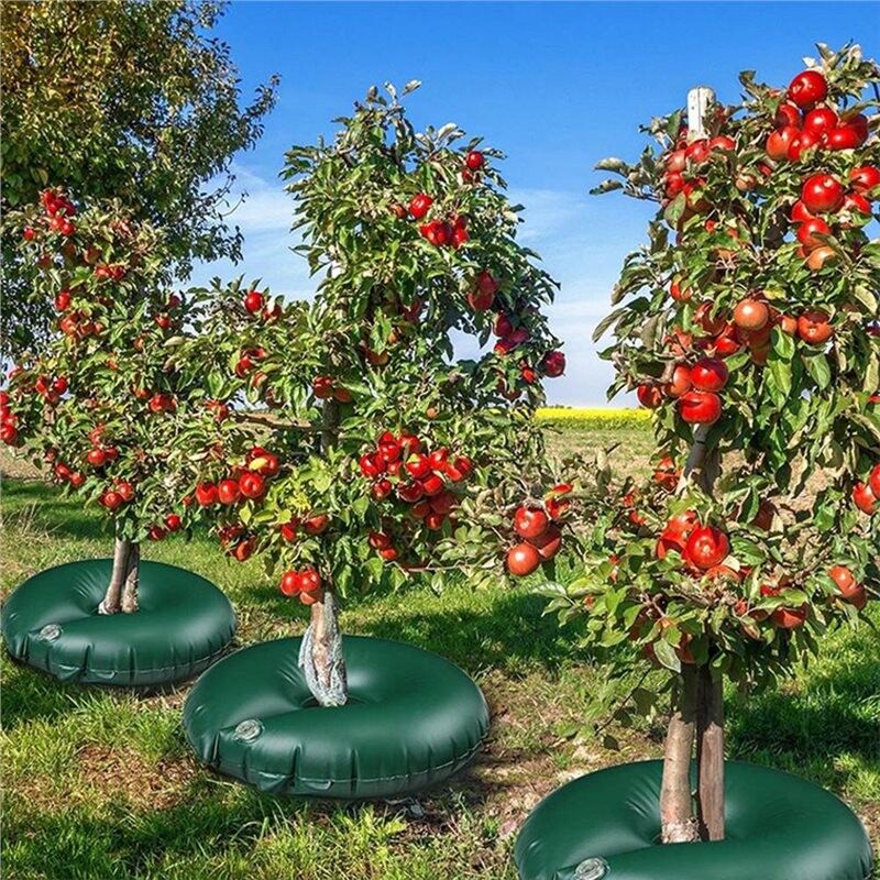 19+ Trees That Grow By Water Tree Watering Ring Slow Release Tree Watering Bag PVC Planting Water