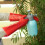 Waterproof Cleaning Gloves Red Thickened 40cm 3