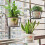 Iron Flower Pot Hanger for Balcony Railing 4