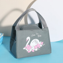 Herrnalise isolierte Lunchtasche für Arbeit und Schule