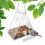 Harupink hanging bird feeder with suction cup and clear 1