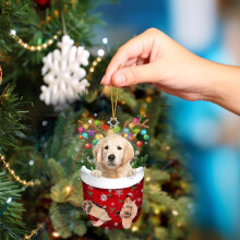 Christmas Dog Ornaments Double-Sided 12 Pieces