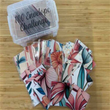Kit Desafio dos 100 Envelopes, compatível com o Plano de Poupança de 50 Dólares - Kit para Economizar Dinheiro e Planejador Orçamentário para