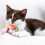 Cat Stretch Ball Toy Plush Interactive 1 Piece 3