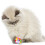 Cat Stretch Ball Toy Plush Interactive 1 Piece 4