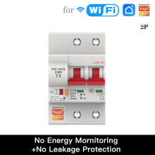 Wi-Fi-stroomonderbreker 2P overbelastingsbeveiliging