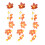 Maisiúcháin Baile Solas Teaghráin Laindéir Pumpkin Maple 1