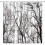 Sprchový záves Forest Tree Polyester 60x72 palcov 1