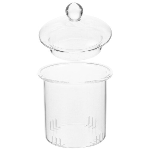 Teefilter aus Glas mit Deckel für loses Teeset
