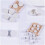 Leifggao flat ring bell boxes plastic toy accessory 50 pcs 5