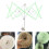 Book Binding Glue with Yarn Ball Winder and Swift Holder 3
