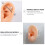 Silicone Ear Molds for Teaching 2 pcs 6