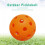 Pickle Balls Outdoor 40-Hole 12-Pack Orange 4