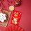 Red Envelopes Chinese New Year Snake Theme 6 pcs 5