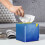 Δερμάτινο κάλυμμα για χαρτομάντιλα Tweety Bird για Kleenex, 1 τεμάχιο 8