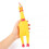 Rubber Chicken Squeeze Toy Medium 3